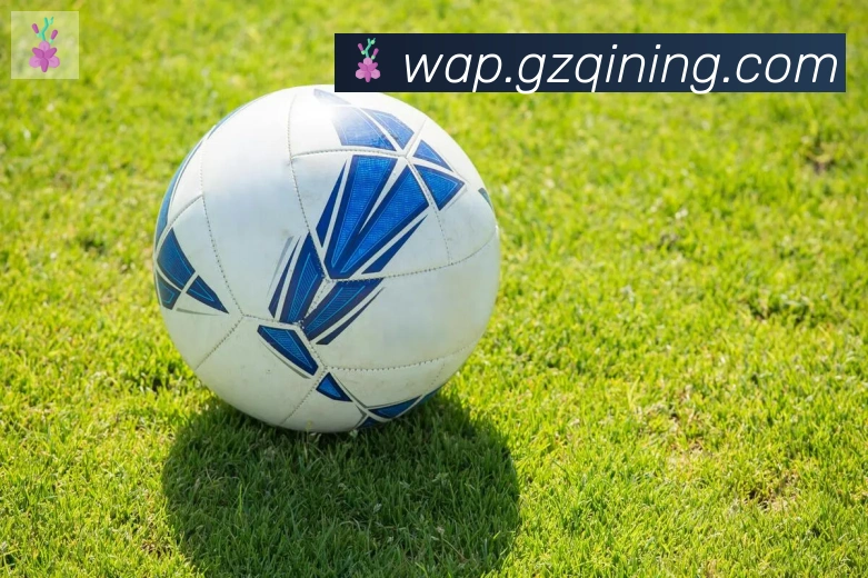 必一体育官网服务体系