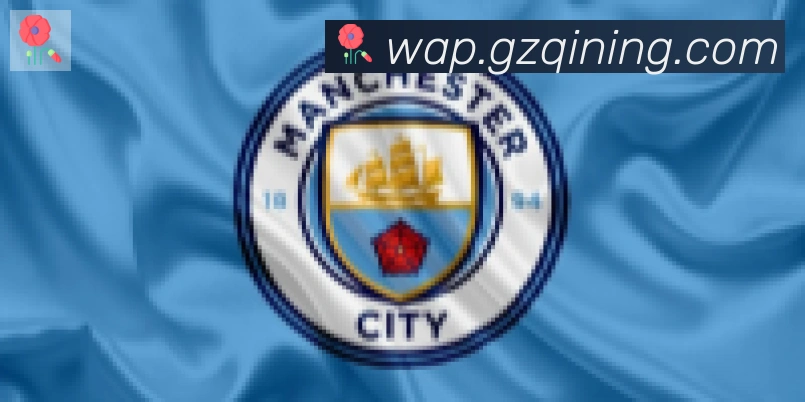 必一体育官网合作伙伴