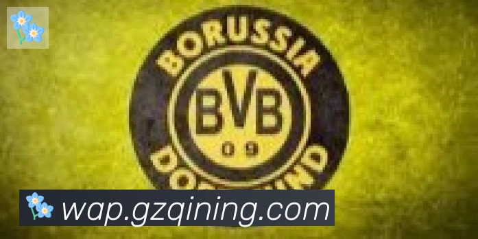 必一体育官网合作伙伴